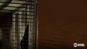 liev schreiber showtime GIF by Ray Donovan
