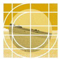 Loop Circle GIF by Grasnapolsky