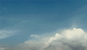 Raising Up Lilo And Stitch GIF by Walt Disney Studios