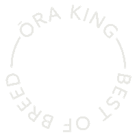 Orakingsalmon Sticker by Ora King