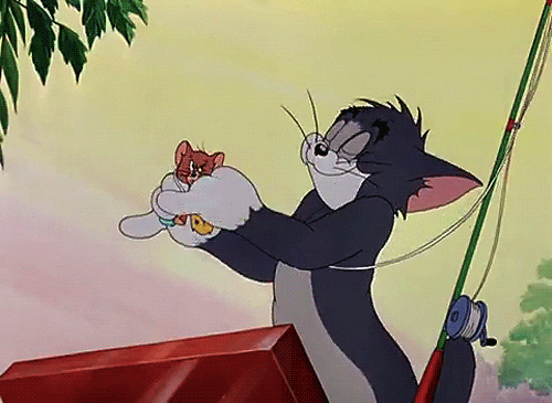 tom and jerry cat GIF