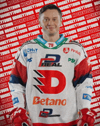 Hockey Czech GIF by HC Dynamo Pardubice
