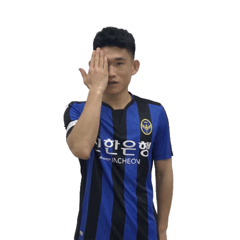 인천유나이티드 Sticker by Incheon United FC