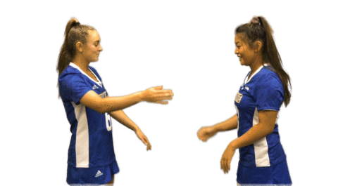 College Sports Love Sticker by Delaware Blue Hens