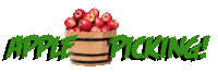 Apple Pie Apples Sticker