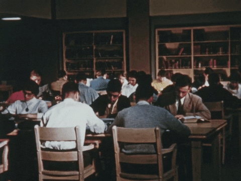studying GIF by McGill University