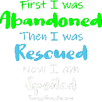 Adopt Love You Sticker by TracysPawsRescue