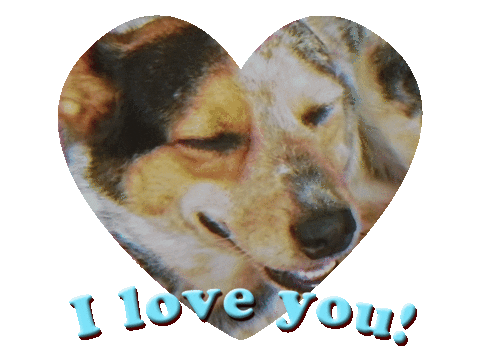 I Love You Dog Sticker by giphystudios2022