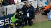 Celebration Reaction GIF by MolaTV