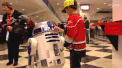 hockey fan GIF by Carolina Hurricanes
