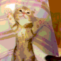 Time For Bed Cat GIF