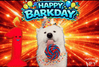 Birthday Benji GIF