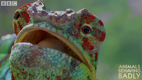 look looking GIF by BBC