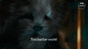 Thirteenth Doctor Flux GIF by Doctor Who