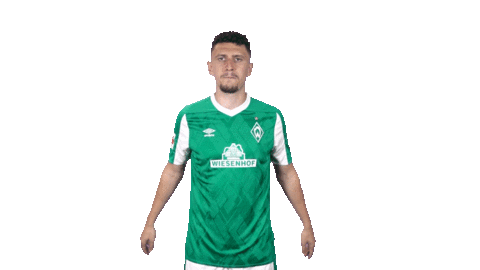 Bundesliga Verteidigung Sticker by SV Werder Bremen
