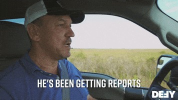 Reports Of A Huge Monster In Central Florida