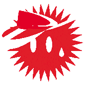 STEIBISONNE sommer sonne winterthur visor Sticker
