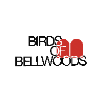 birdsbellwoods music logo red rock Sticker