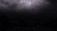 storm GIF
