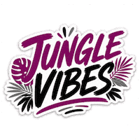 Vibes Berlin Sticker by BerlinSalsacongress