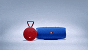 GIF by JBL Audio