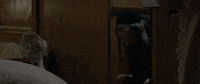 orthodox jew pig GIF by Good Deed Entertainment