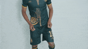 Dance Football GIF by ROYAL AM