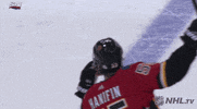 Ice Hockey GIF by NHL