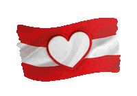 Flag Austria Sticker by HOFER Österreich