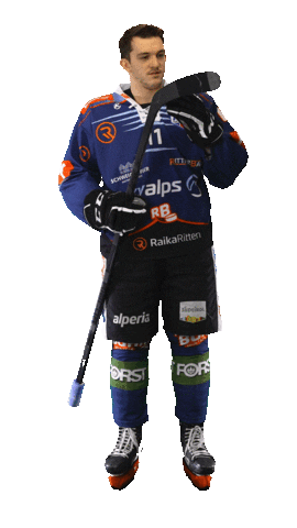 Ice Hockey Sport Sticker by Rittner Buam