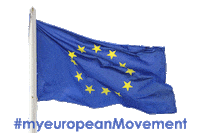 youngcaritasde flag vote europe europa Sticker