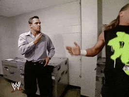 Shawn Michaels Wrestling GIF by WWE