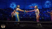 GIF by Lucha Libre AAA
