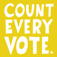 Voting Election Results GIF by INTO ACTION