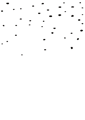 Snow Star Sticker