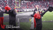 uofcincy bearcats university of cincinnati uofcincy nextliveshere GIF