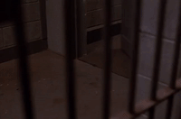 season 2 GIF by Twin Peaks on Showtime