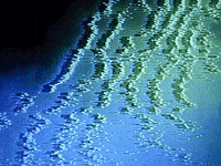 robertomalanoart glitch vhs glitchart mirror GIF