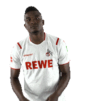 Fc Cologne Bundesliga Sticker by 1. FC Köln