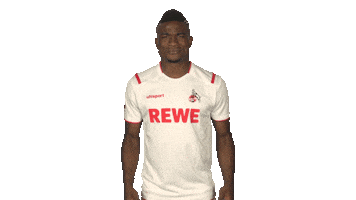 Come On Wtf Sticker by Bundesliga