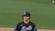 Celebrate Major League Baseball GIF by New York Mets