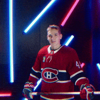 Hockey Nhl GIF