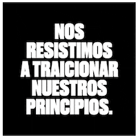 Beer Cerveza GIF by Estrella Galicia