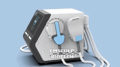 novafem giphygifmaker emsculpt GIF