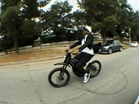 Wolf Bass GIF by IDK