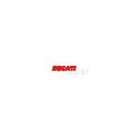 ducatinb ducati desmo drOC drocdesmo Sticker