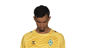 Look Up Werder Bremen Sticker by Bundesliga
