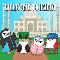 New Delhi Penguin GIF by Pudgy Penguins
