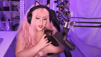 Black Cat Good Luck GIF