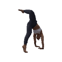 Animal Flow Sticker by maeve40fitness